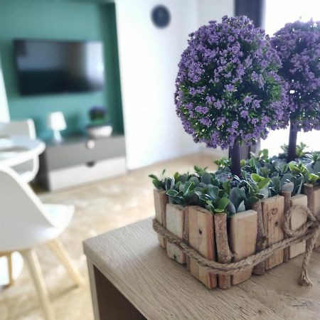 Apartament Karpaty Krynica Zdroj Eksteriør billede